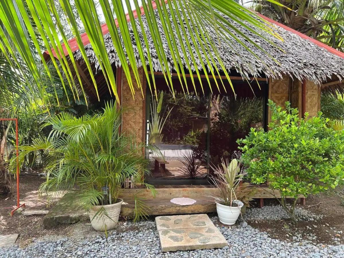 Bohol Island Homestay Dauis Екстериор снимка
