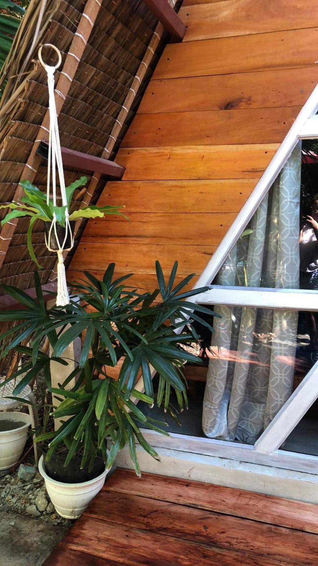 Bohol Island Homestay Dauis Екстериор снимка