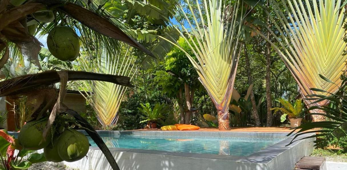 Bohol Island Homestay Dauis Екстериор снимка