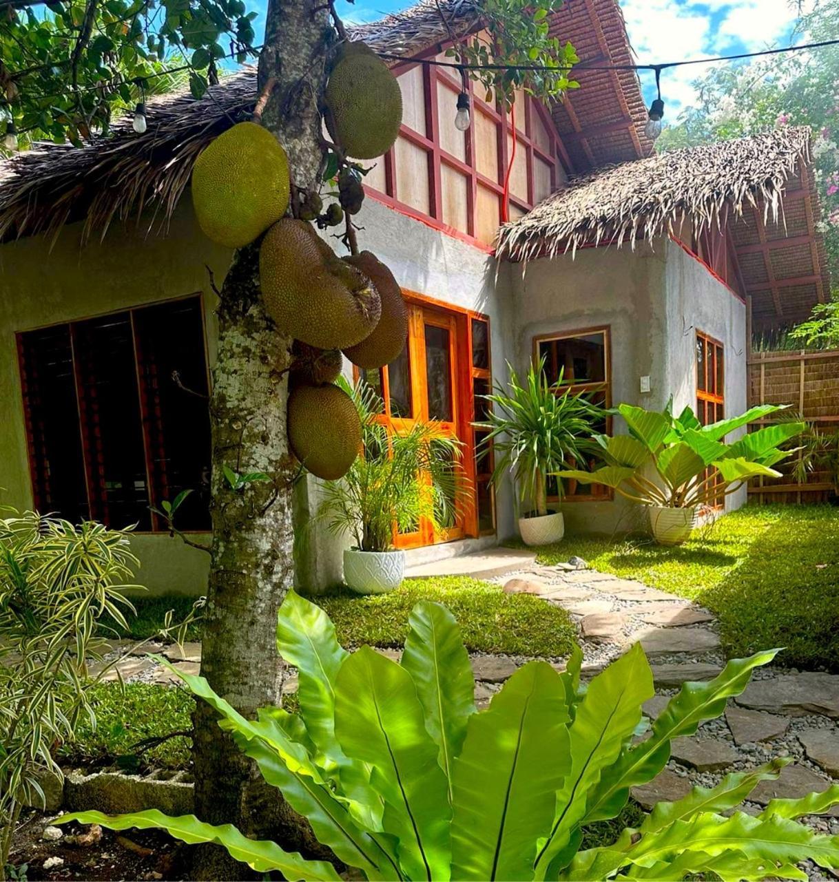 Bohol Island Homestay Dauis Екстериор снимка