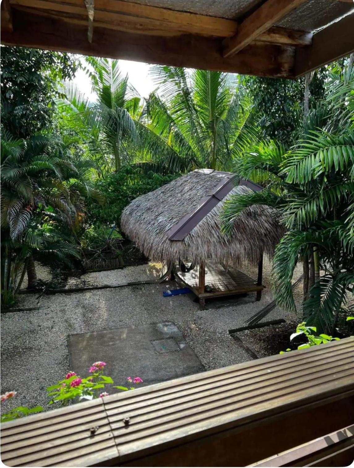 Bohol Island Homestay Dauis Екстериор снимка