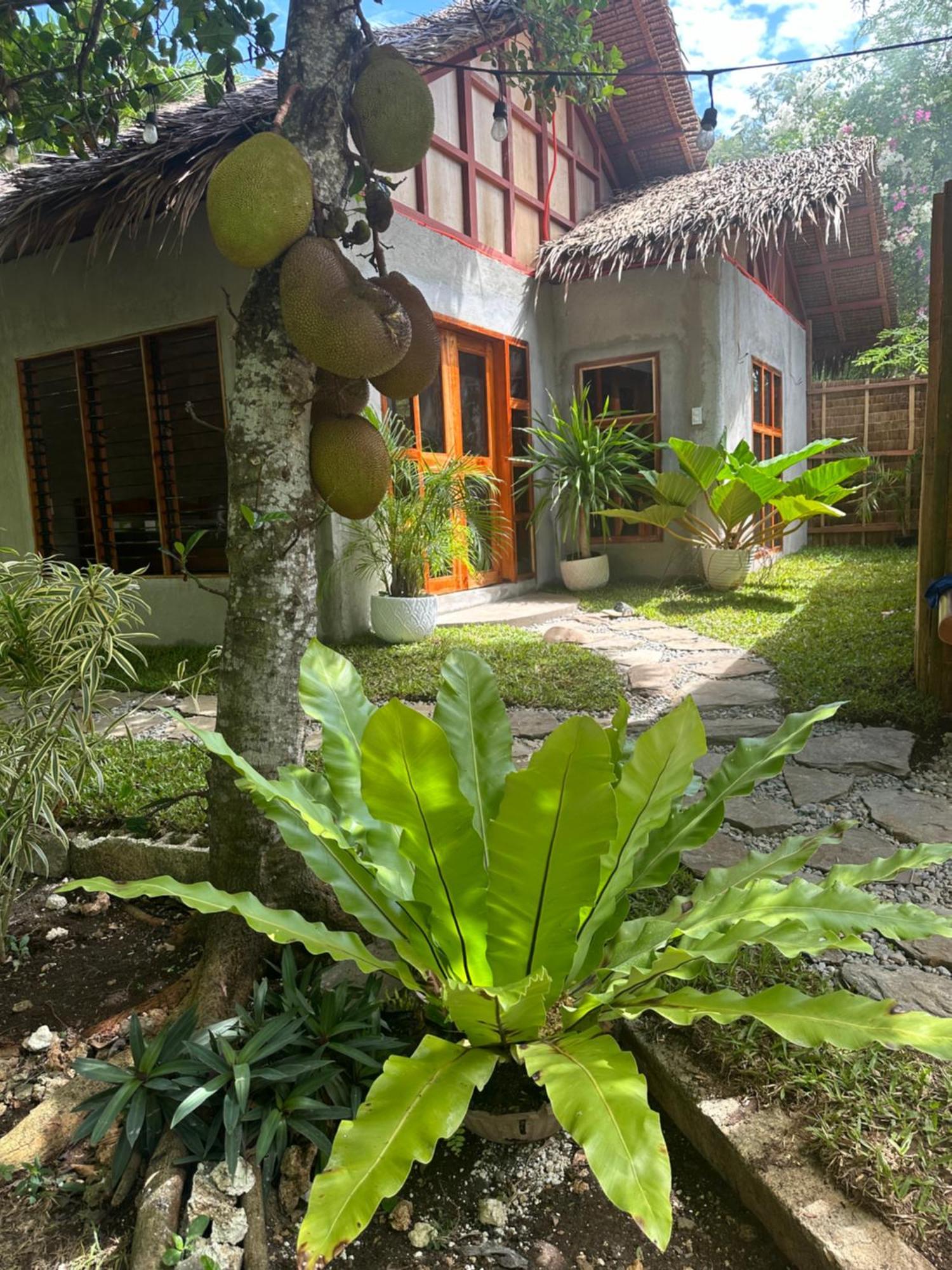 Bohol Island Homestay Dauis Екстериор снимка